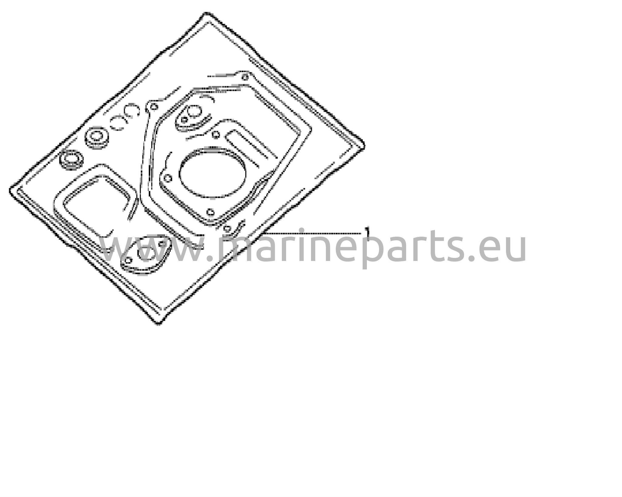 Gasket kit