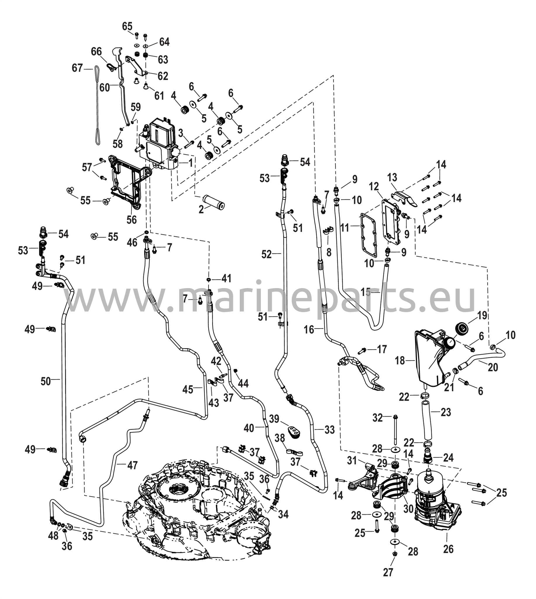 Tehostetun ohjauksen pumppu ja letkut