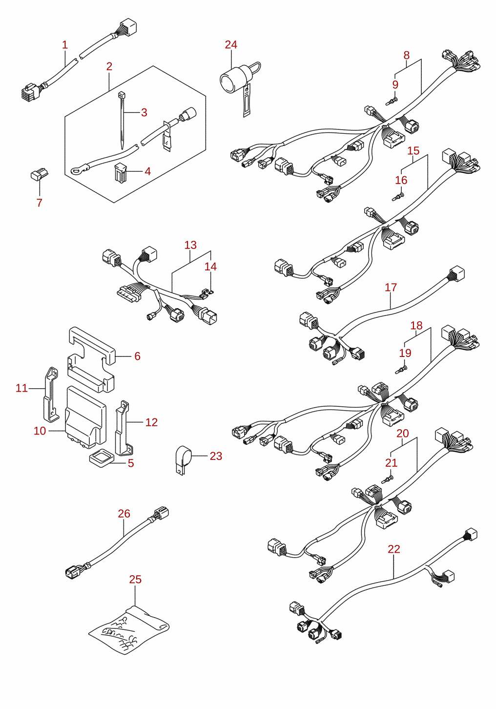 Harness (1) (optional)