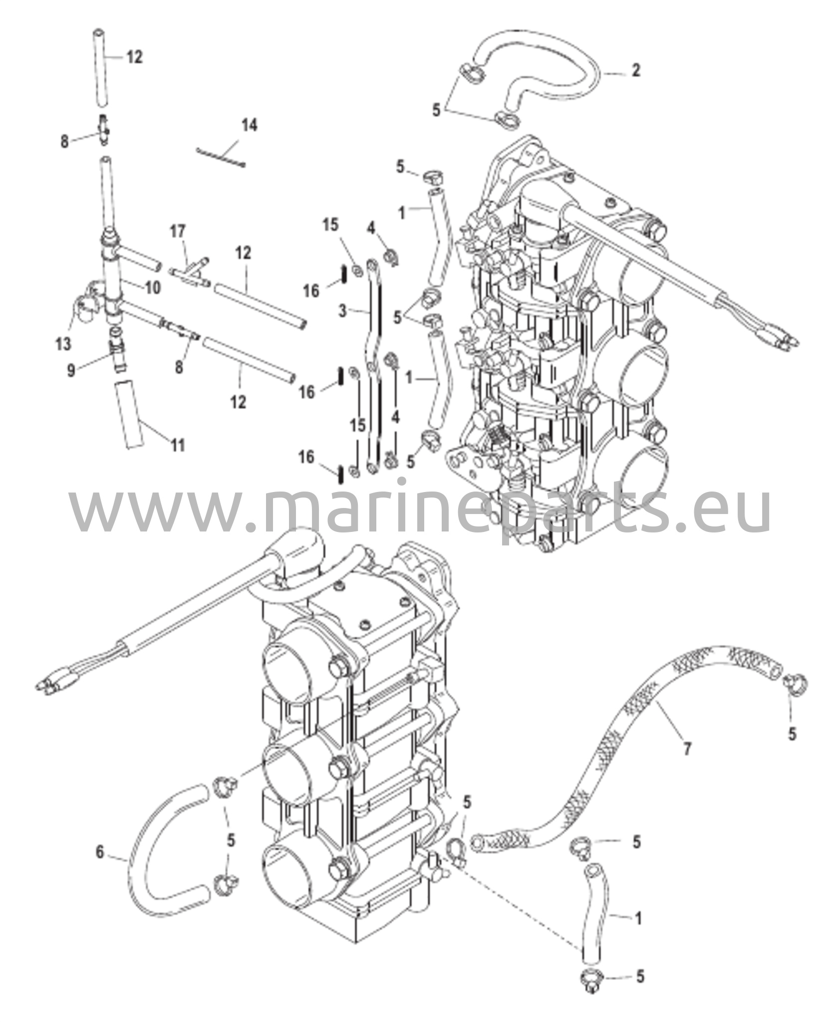 Fuel Lines 