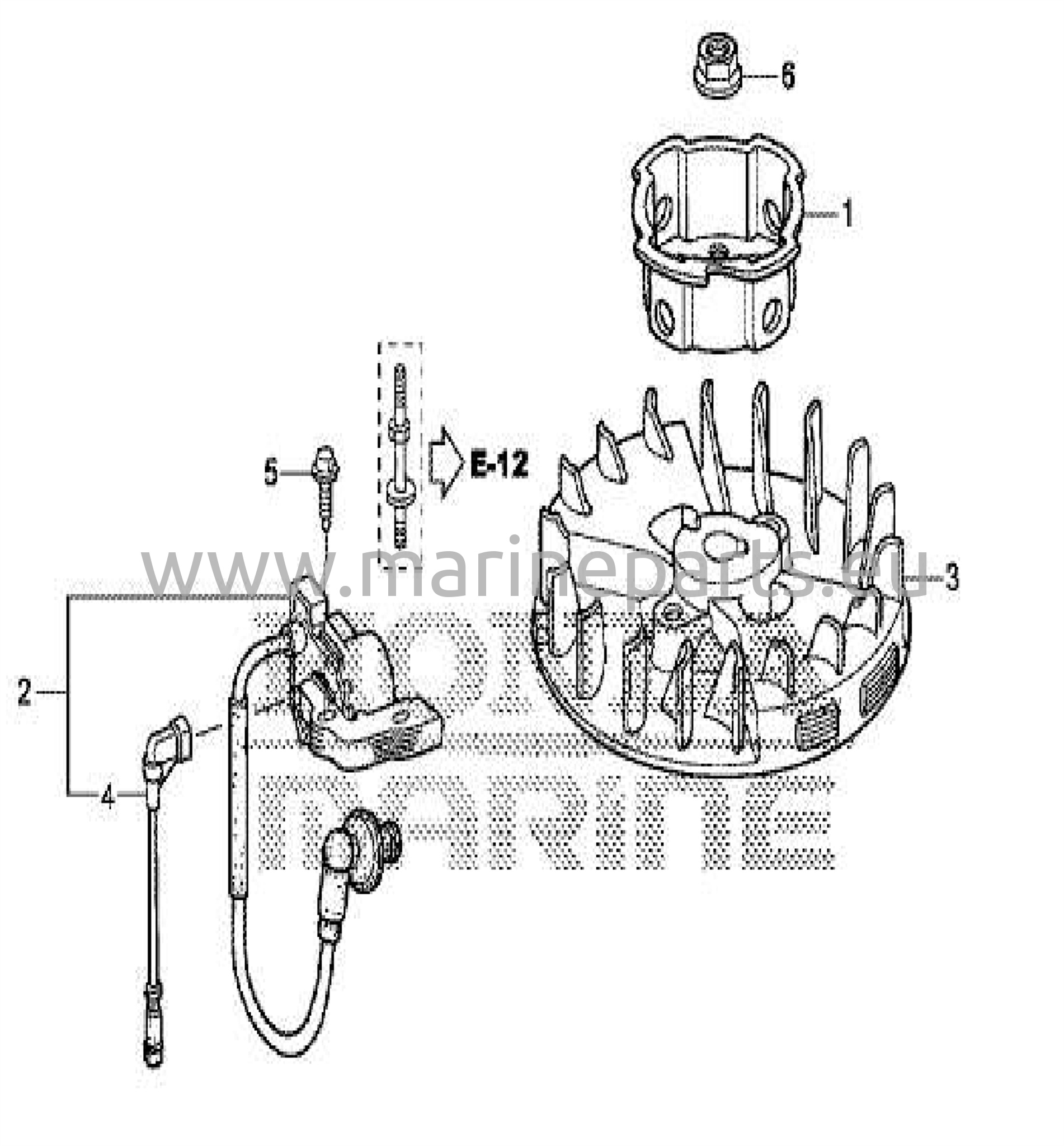 Flywheel/ignition coil