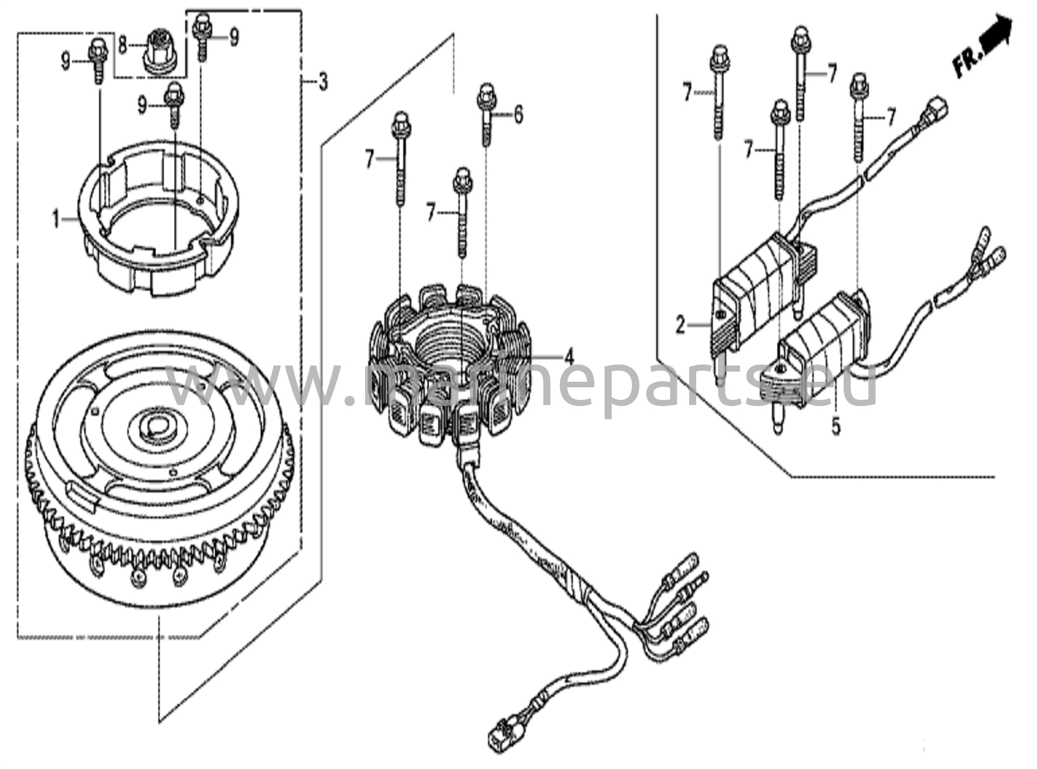 Flywheel/ignition coil
