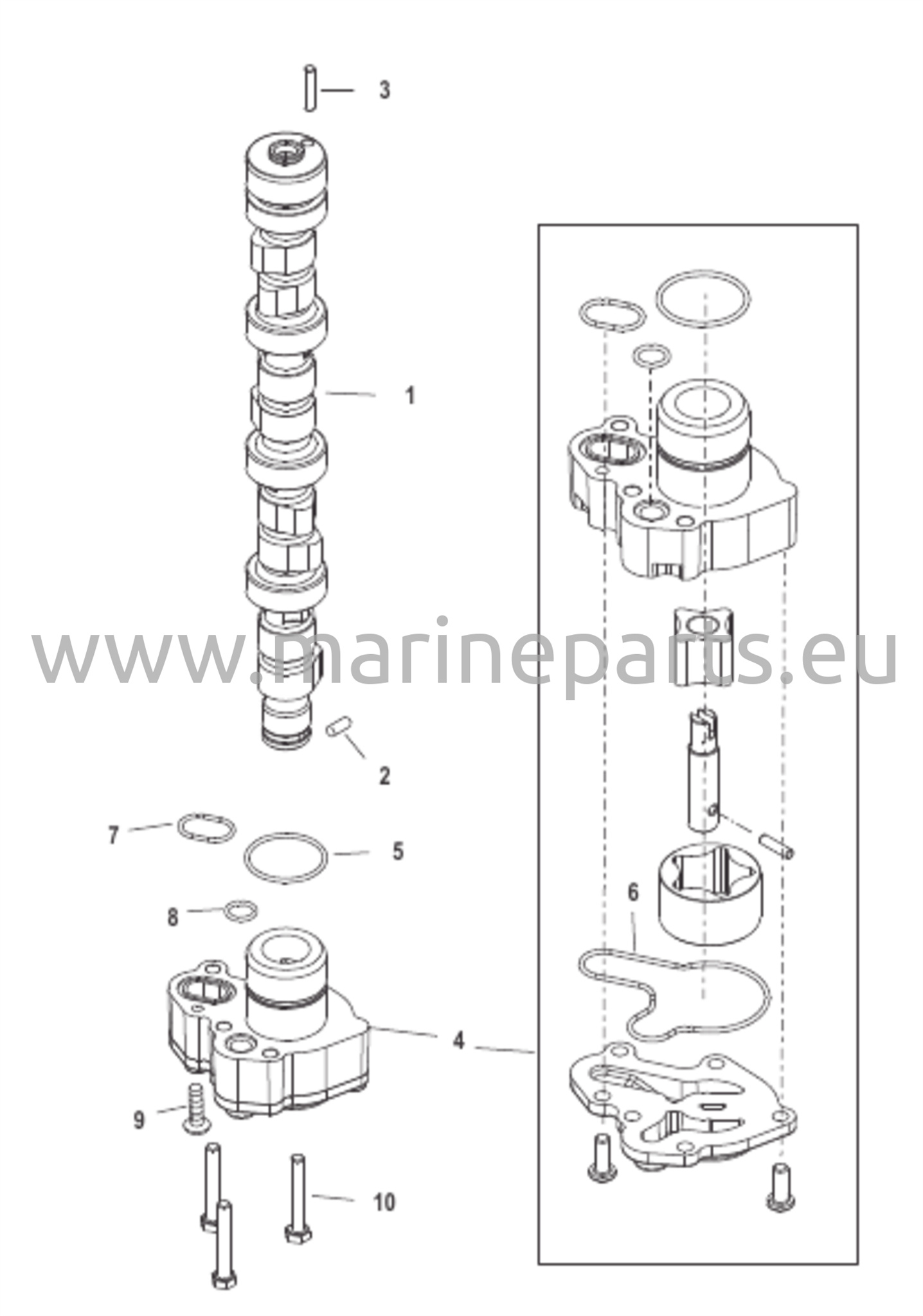 Camshaft/Oil Pump 