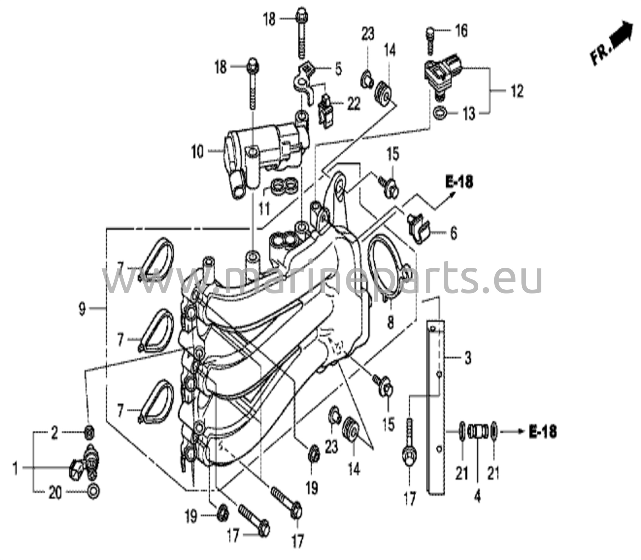 Sissepääsu kollektor/pritsija
