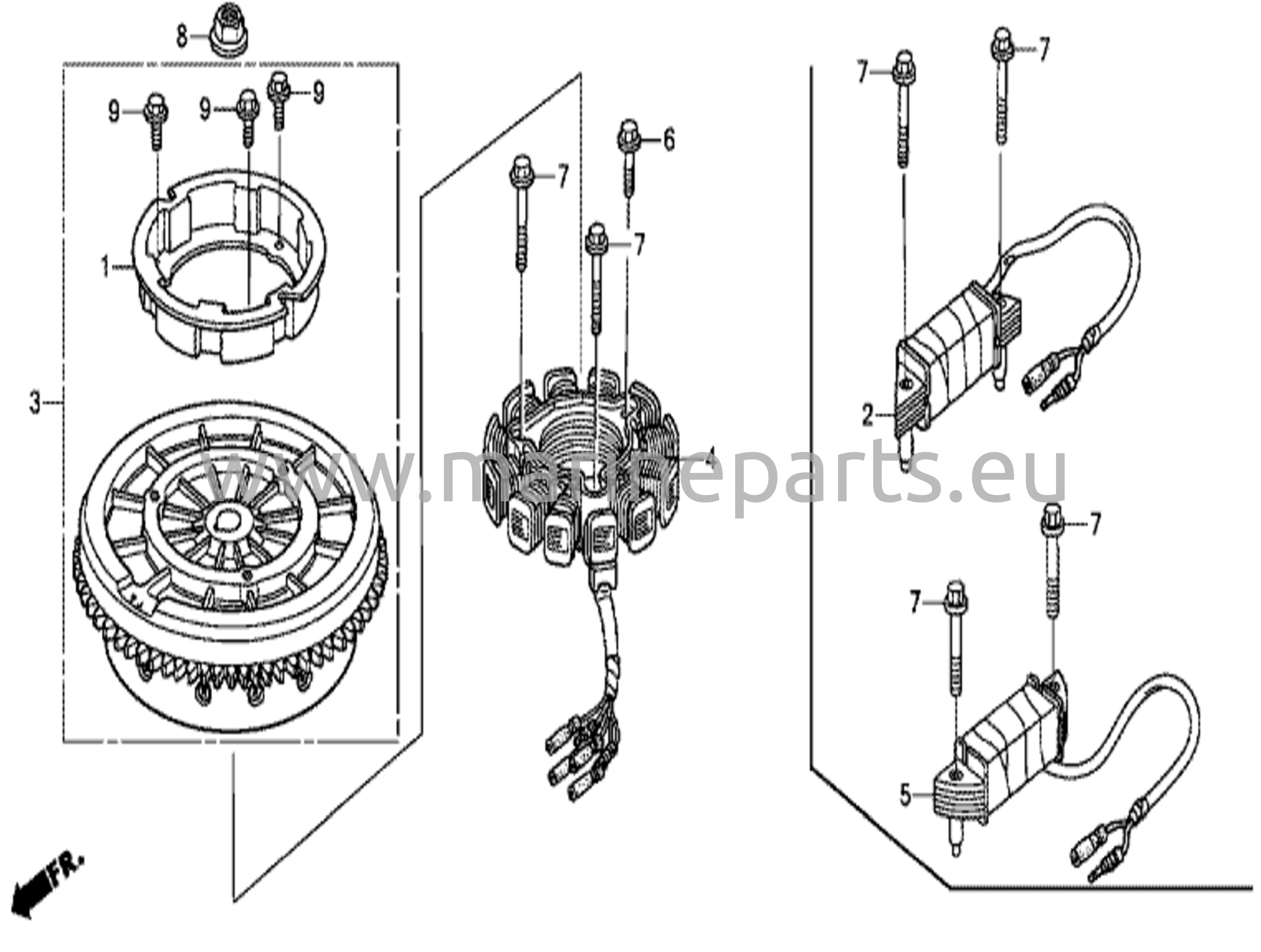 Flywheel/ignition coil