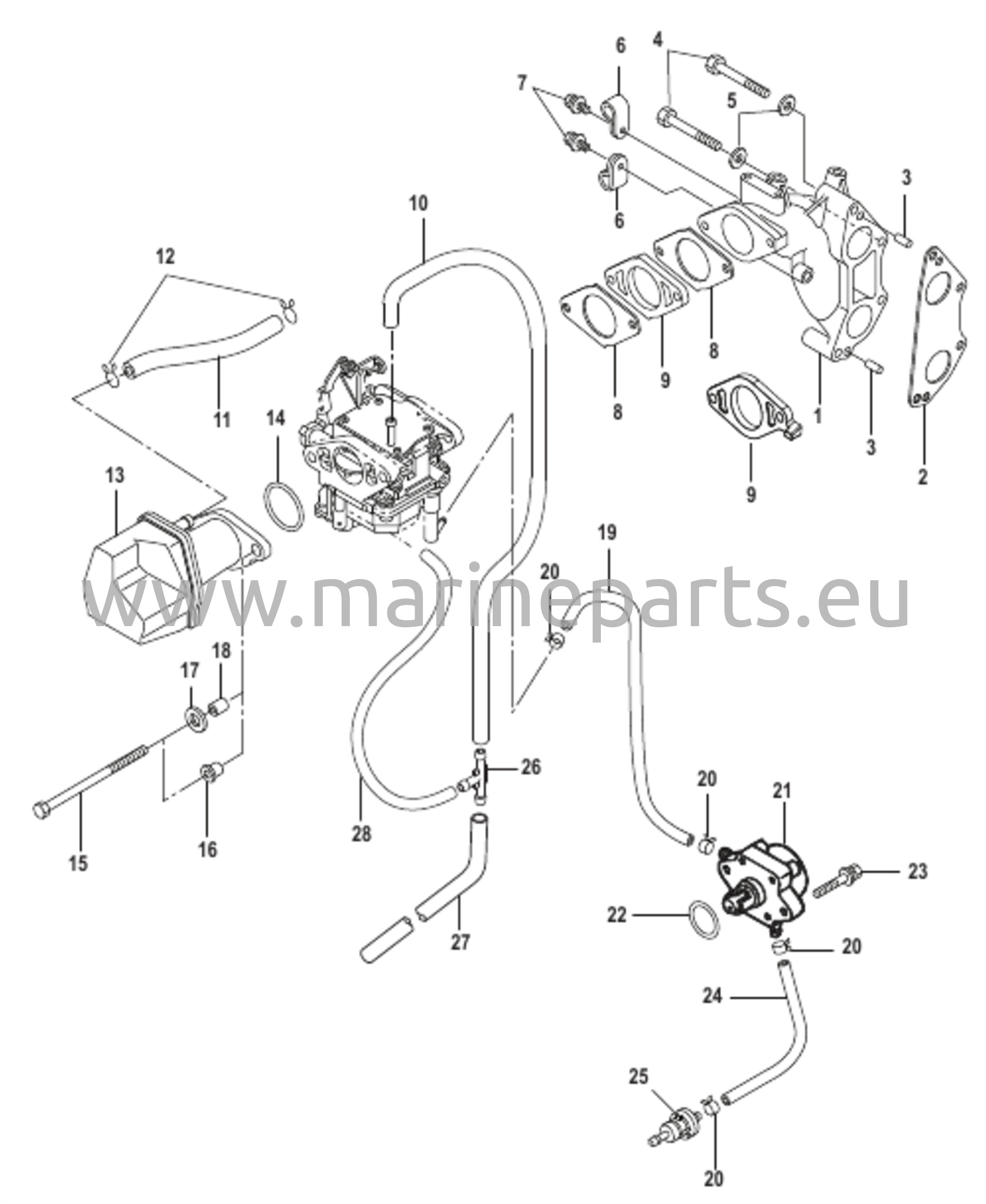Imusarja ja polttoainepumppu