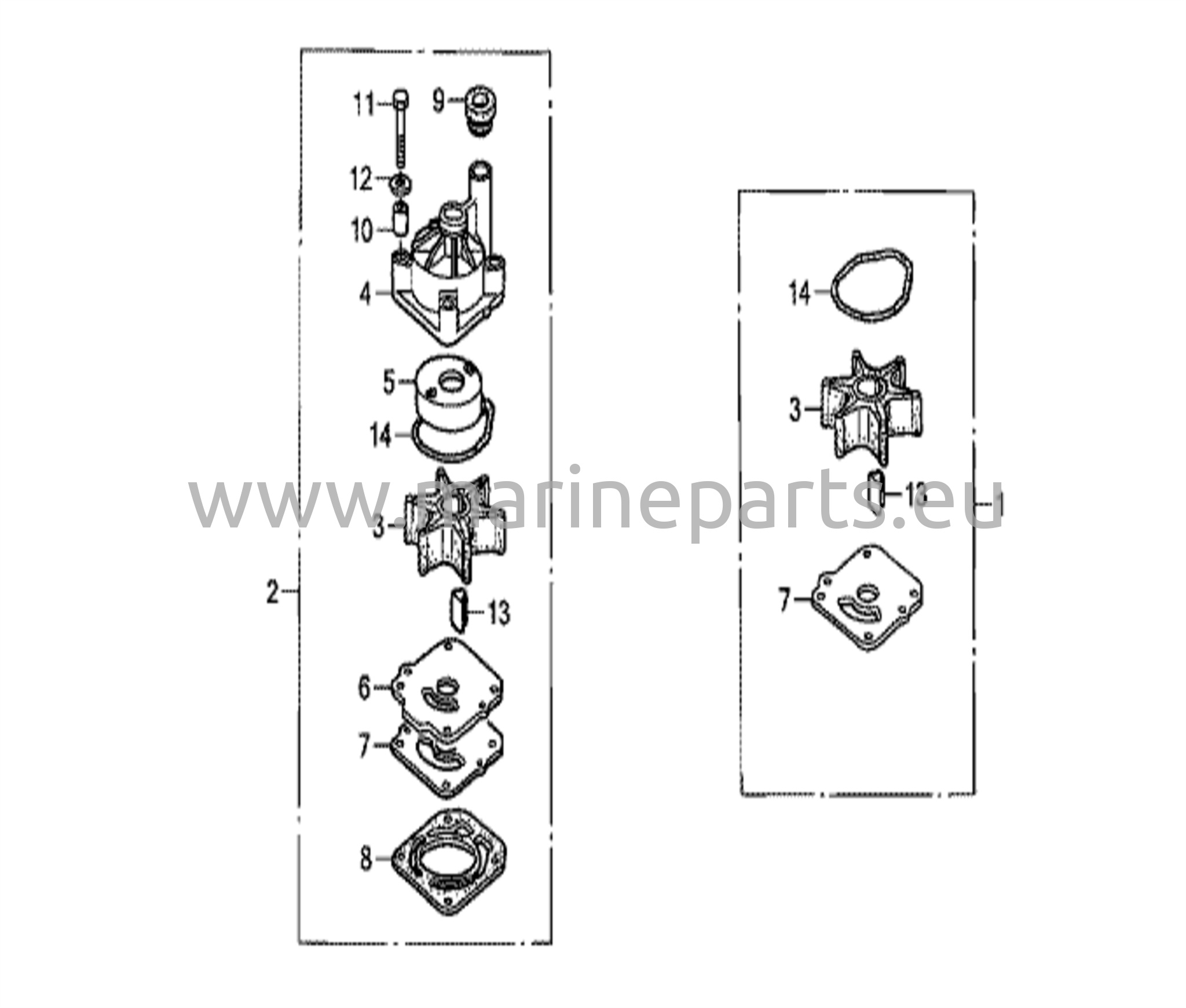 Impeller pump kit (2)