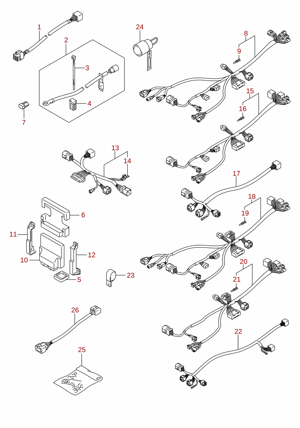 Harness (1) (optional)