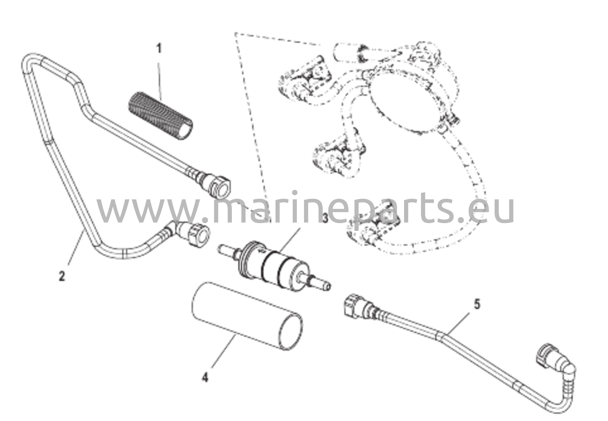 Fuel Lines 
