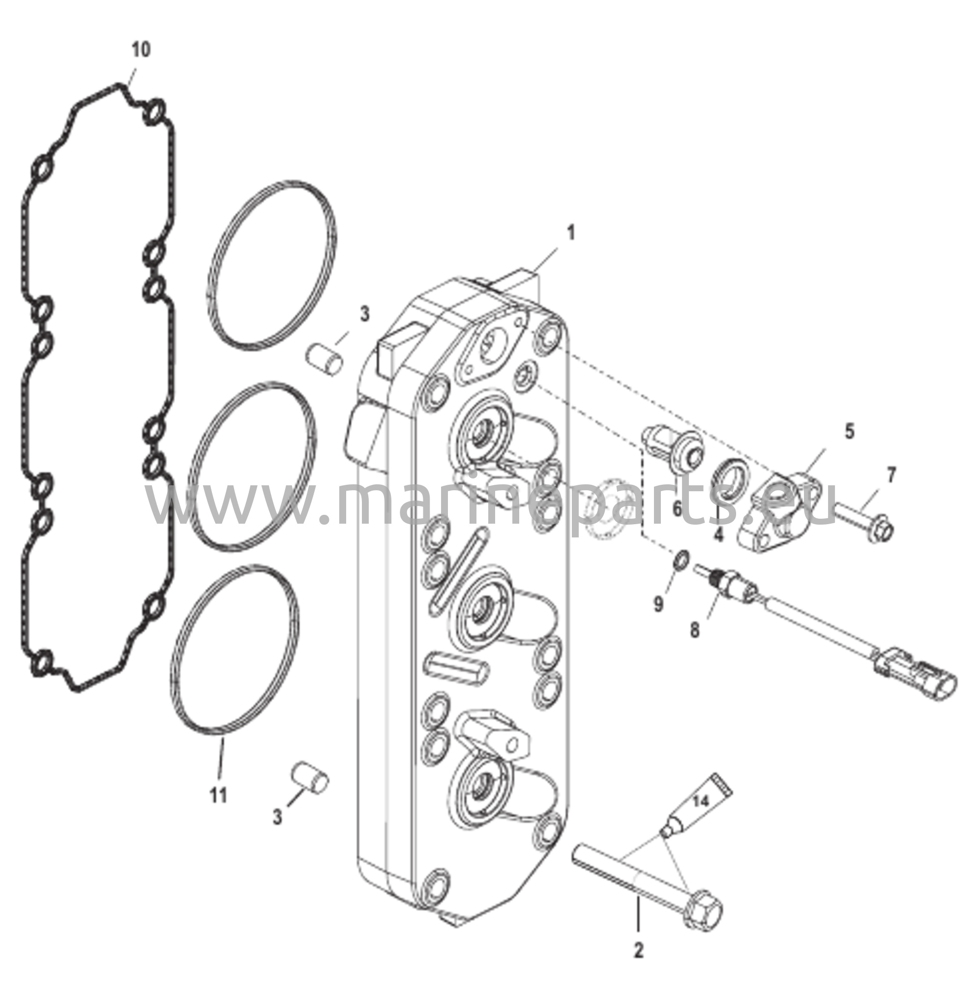 Cylinder Head 