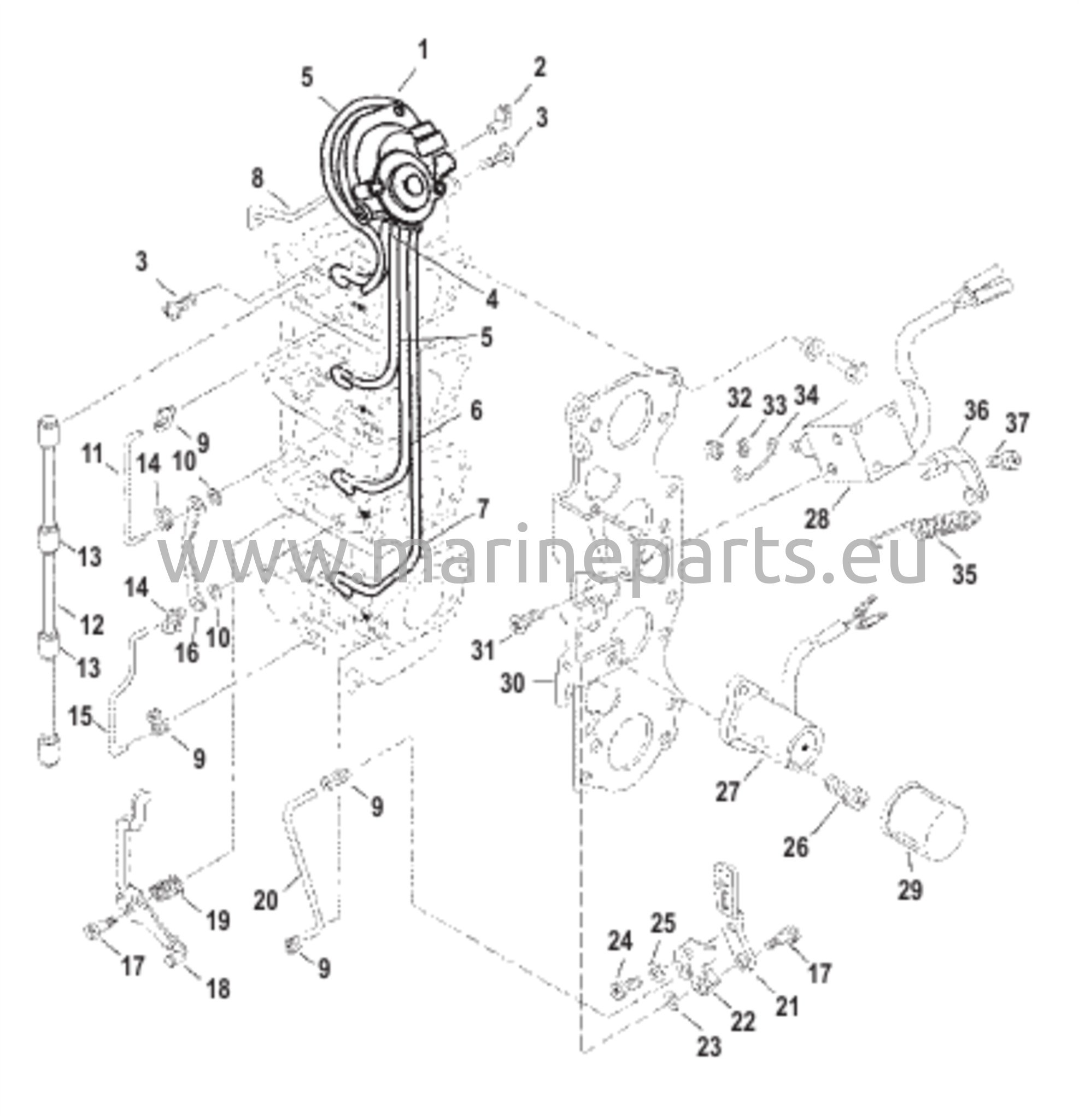Kaasukarbiinivivusto