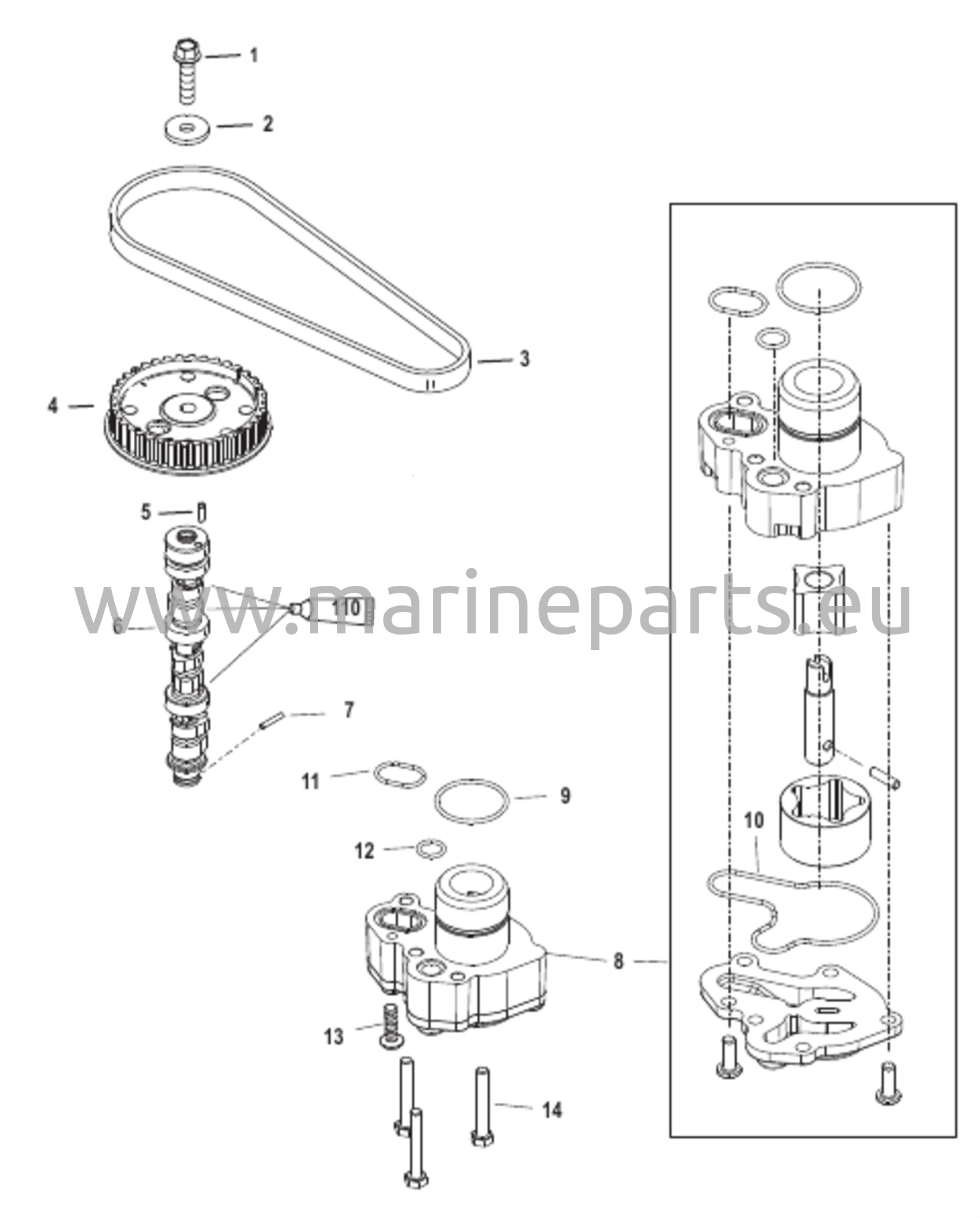 Camshaft/Oil Pump 