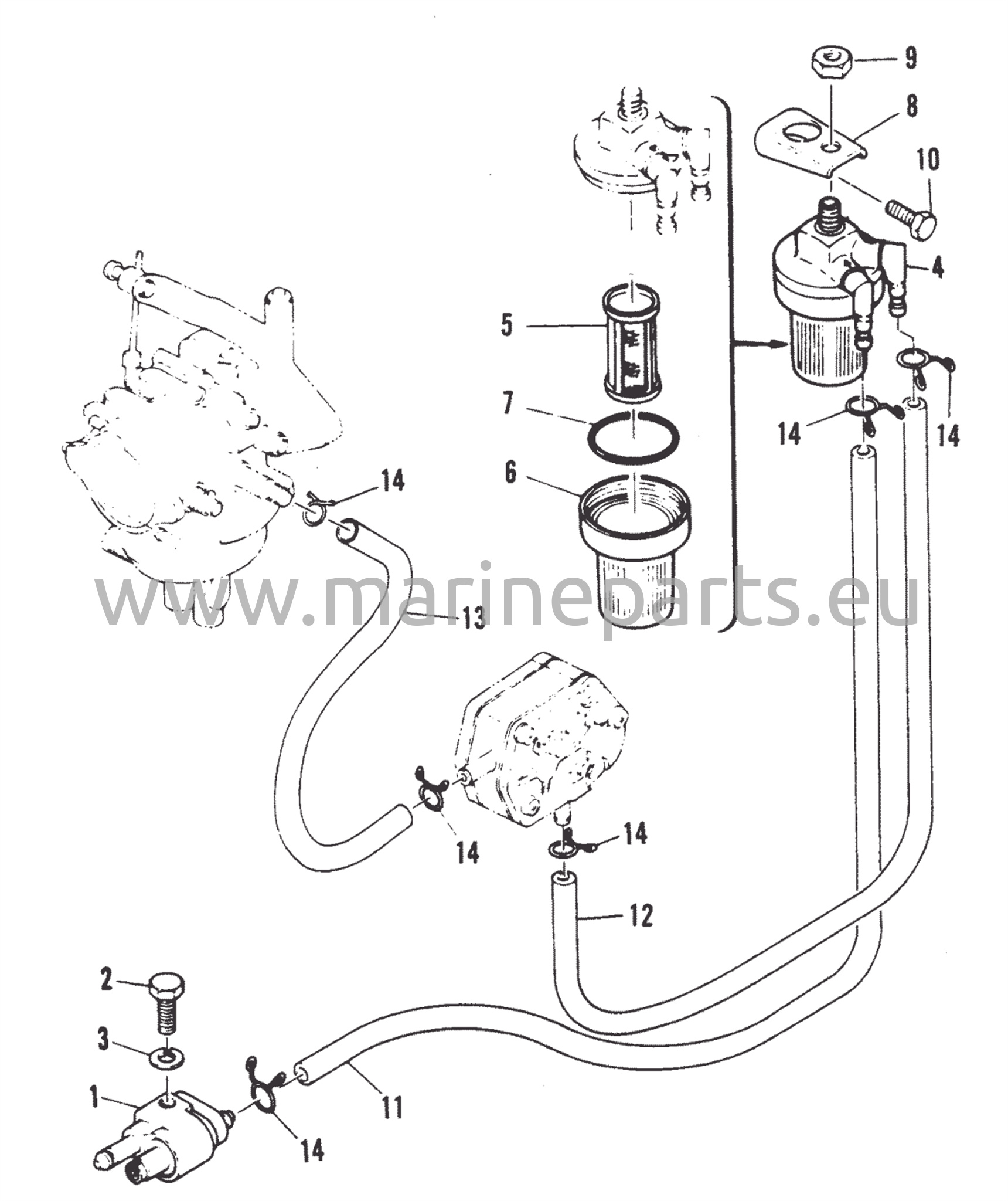 Fuel lines and filter