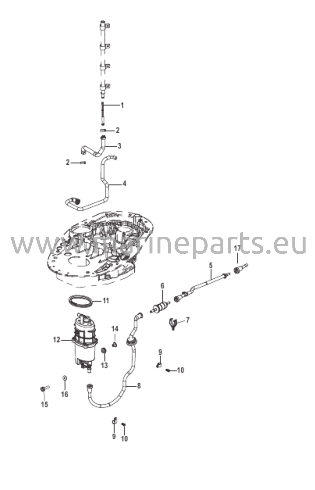 Polttoaineen syöttöjärjestelmä – Letkut ja moduuli