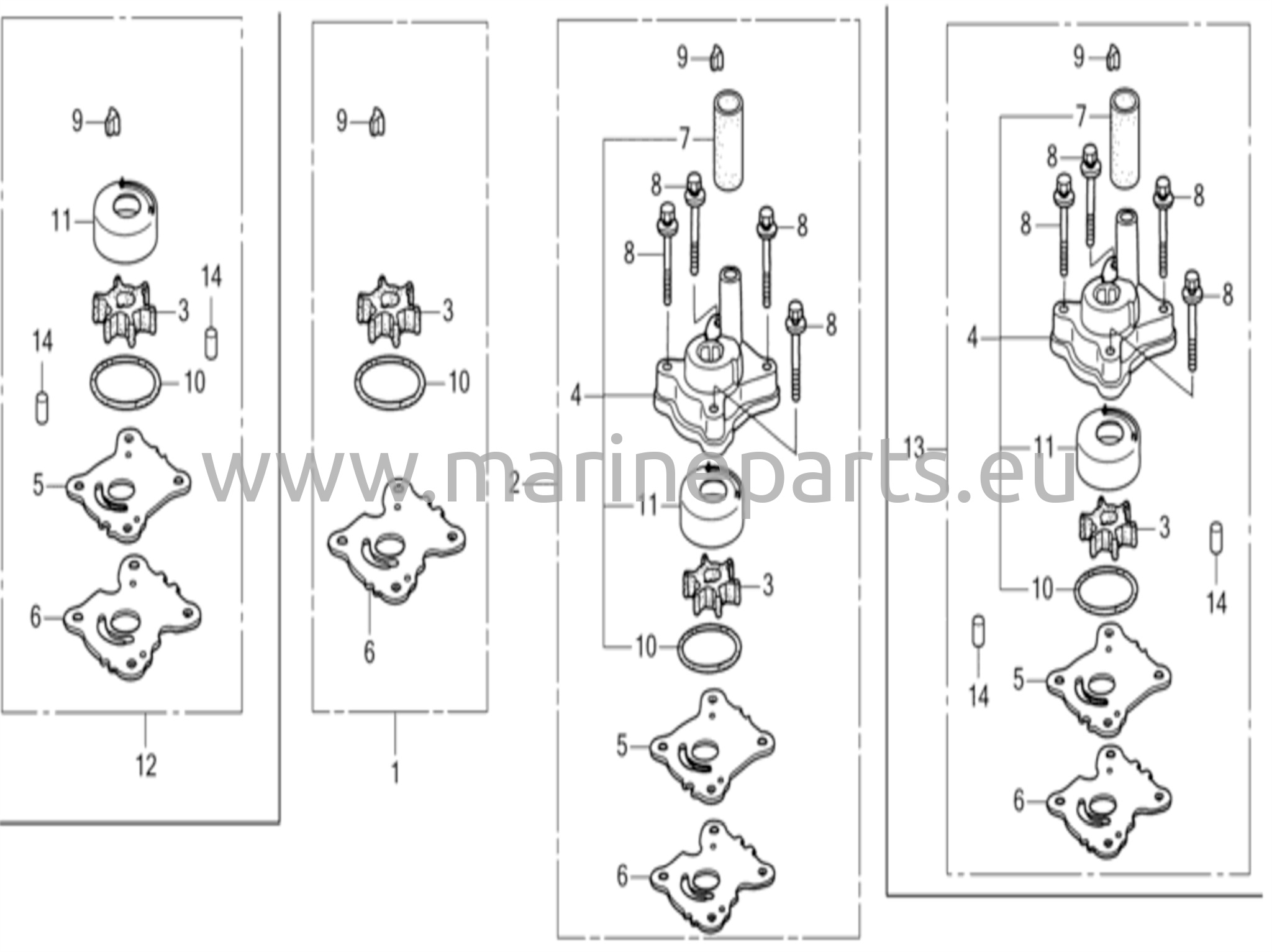 Water pump impeller kit