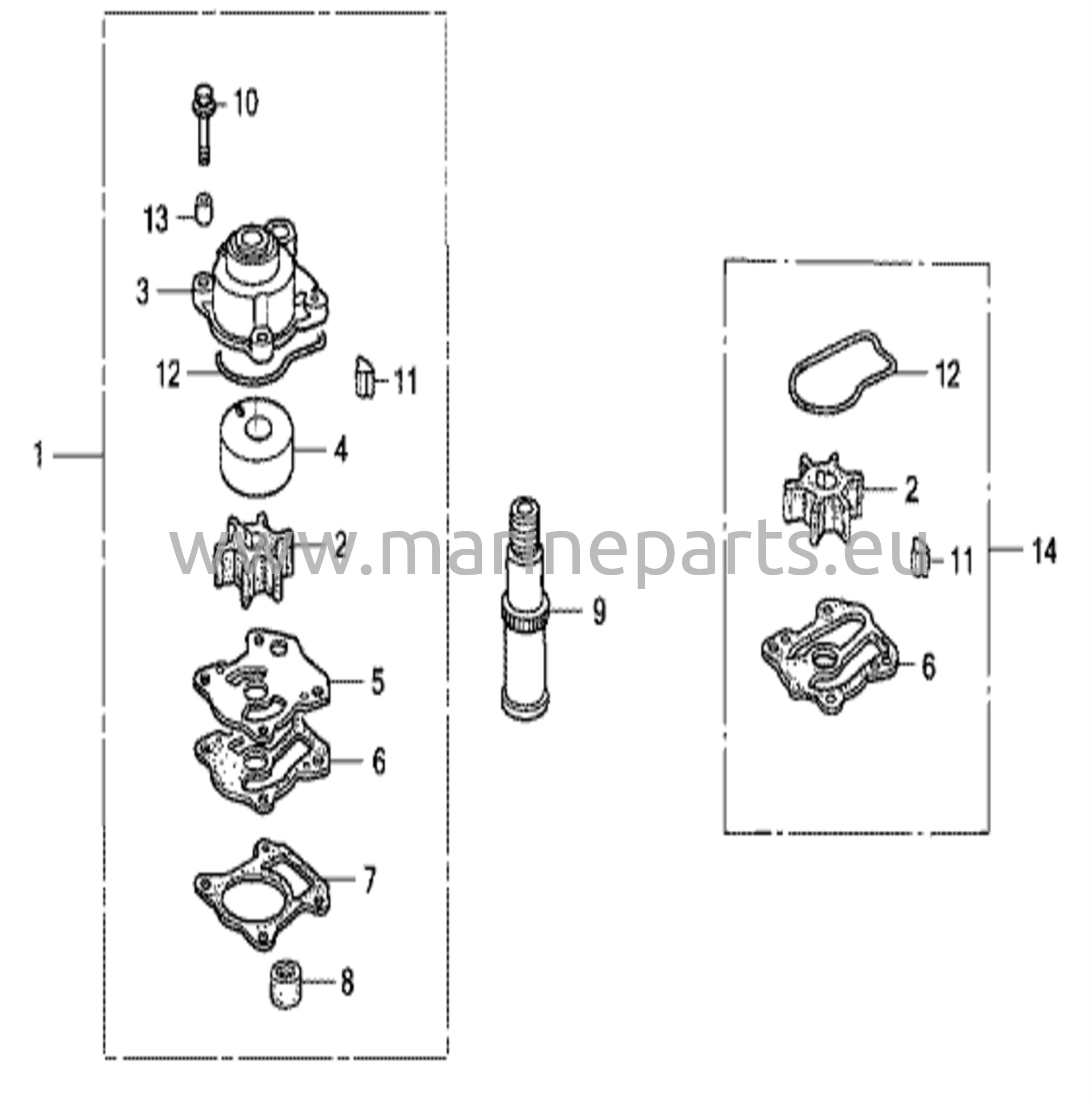 Impellerpumba komplekt / veevooliku ühendus