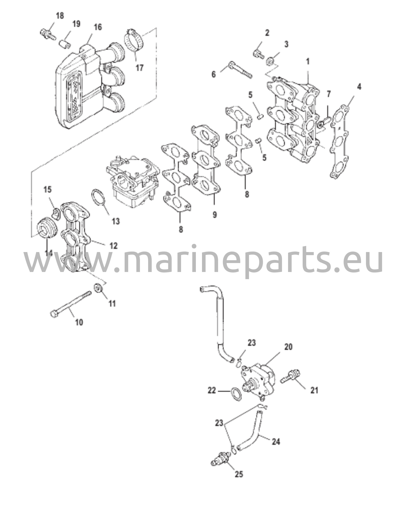 Intake Manifold and Fuel Pump 