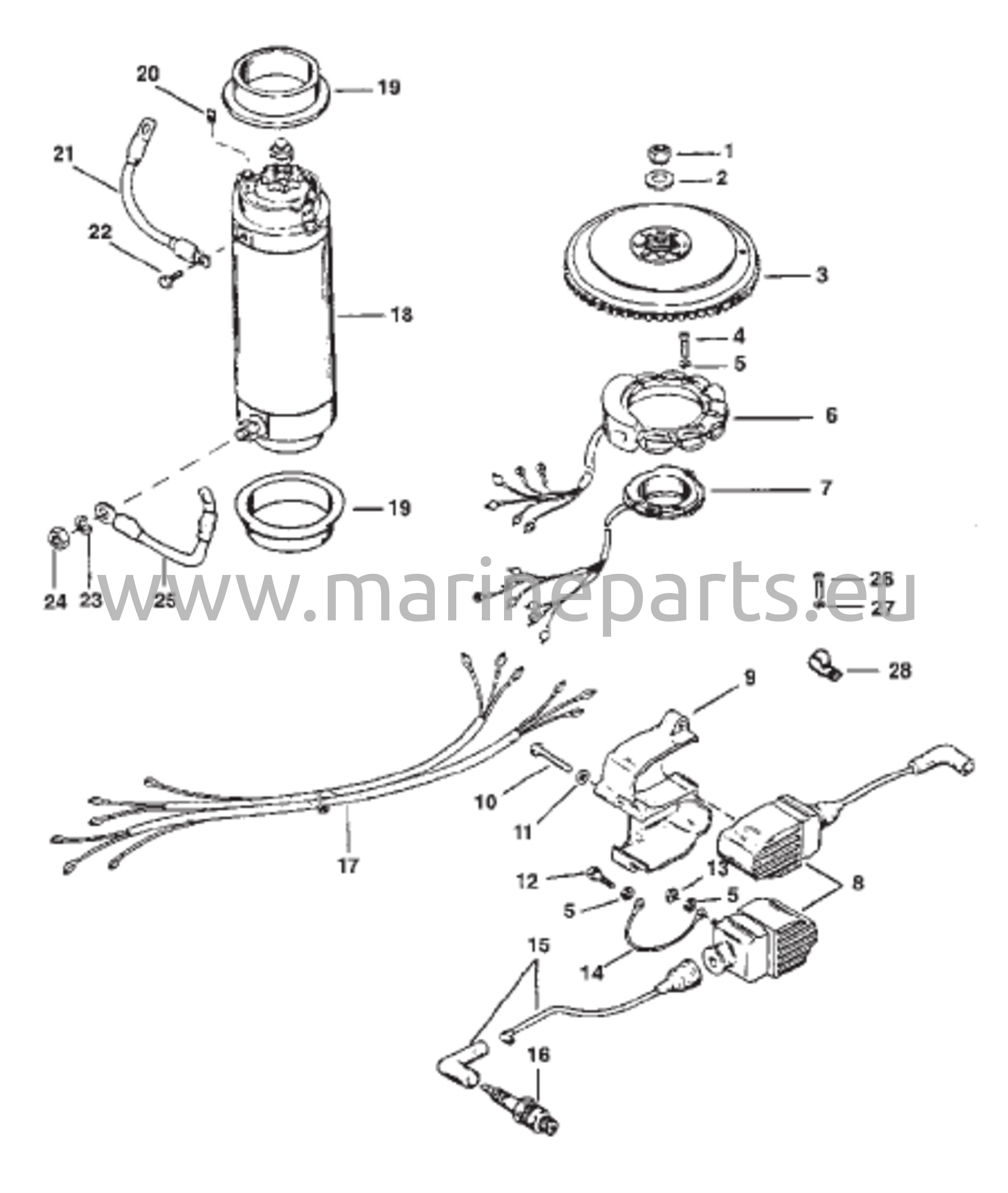 Flywheel, Starter Motor and Ignition Coils 