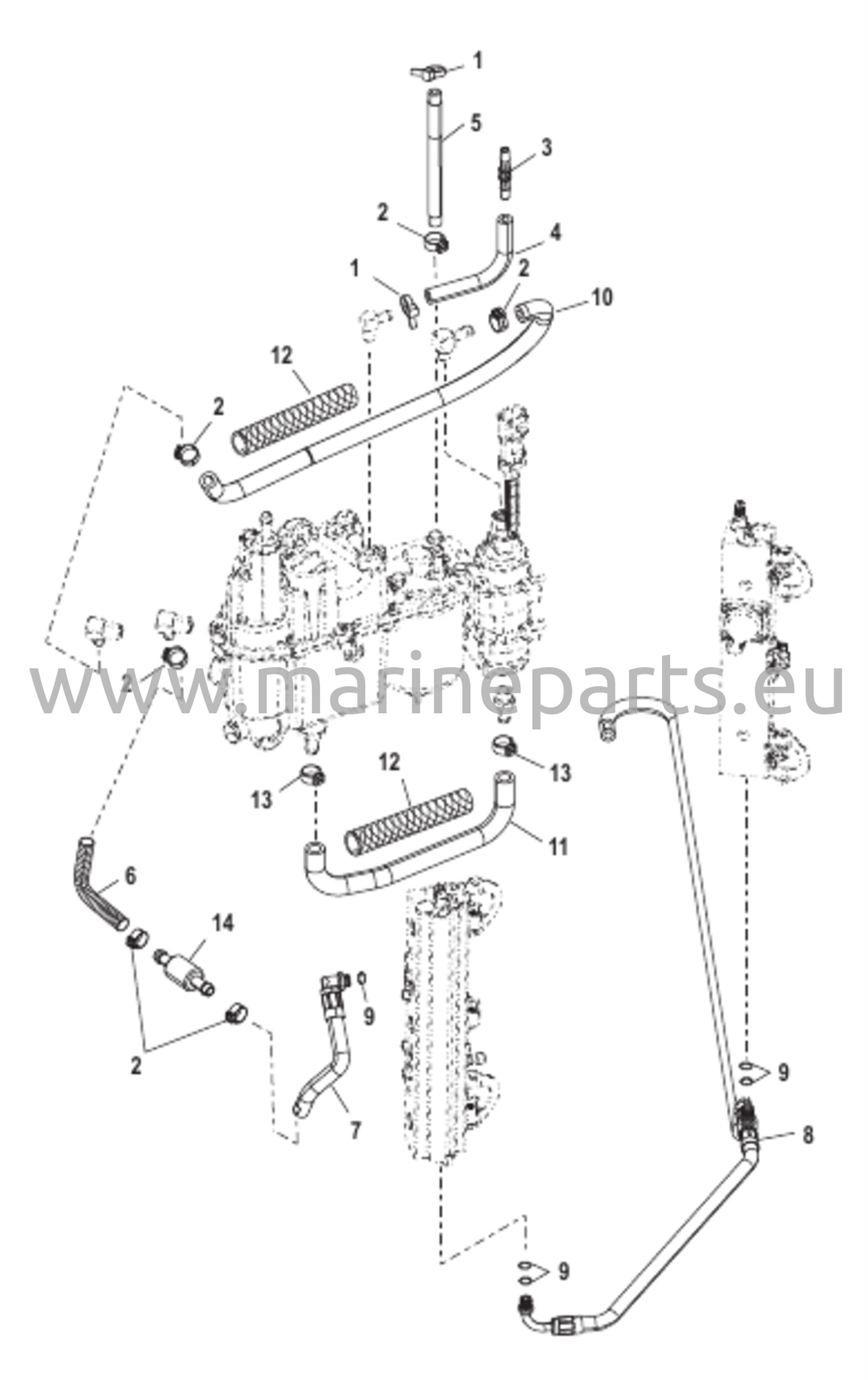 Fuel Hoses 