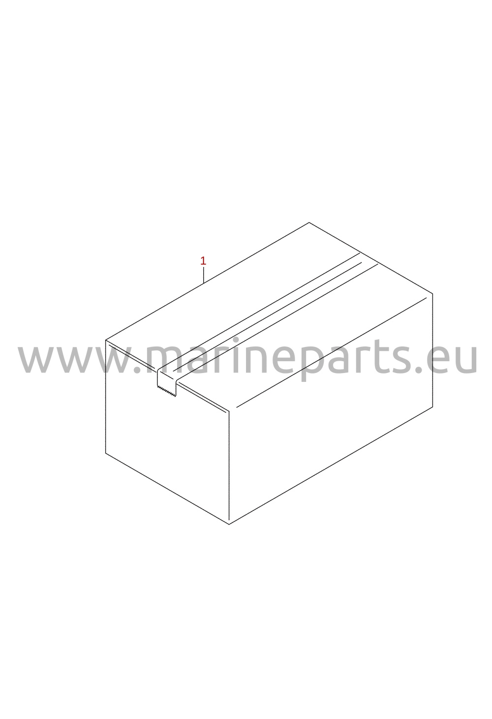 Starting motor (optional)