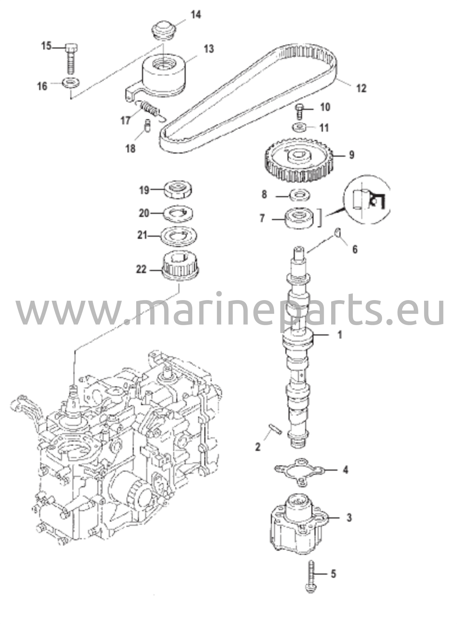 Camshaft and Oil Pump 