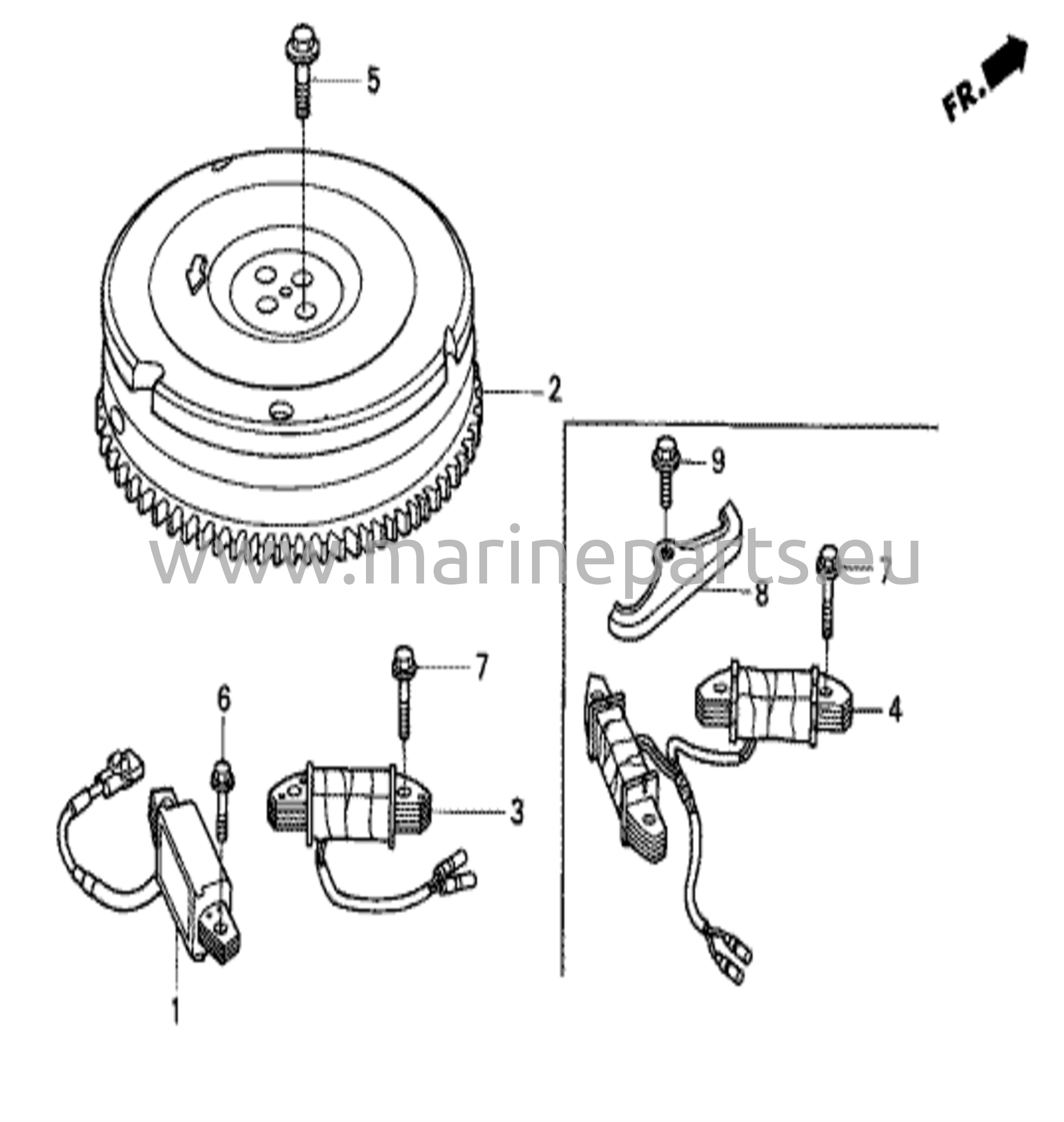Flywheel/ignition coil