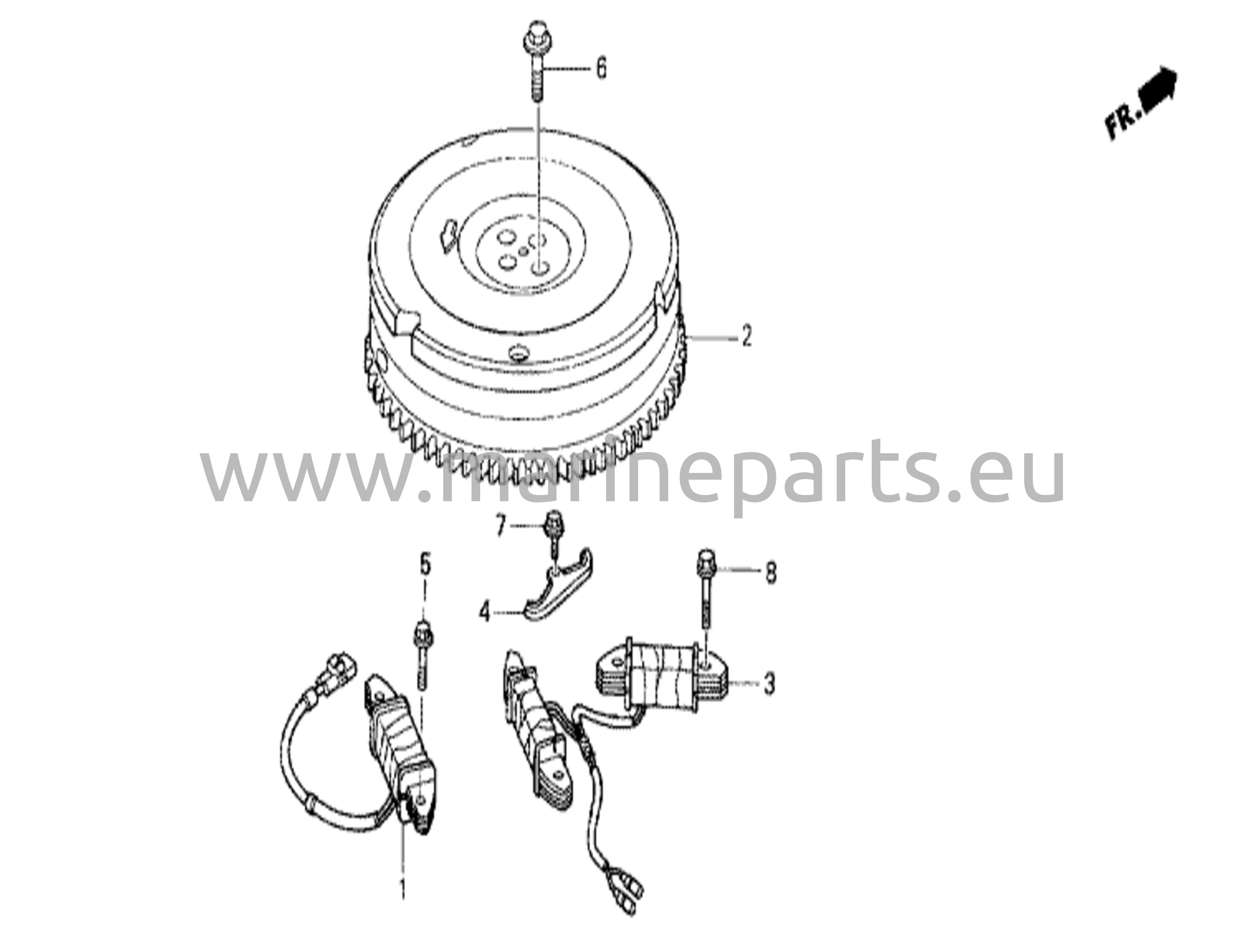 Flywheel/ignition coil
