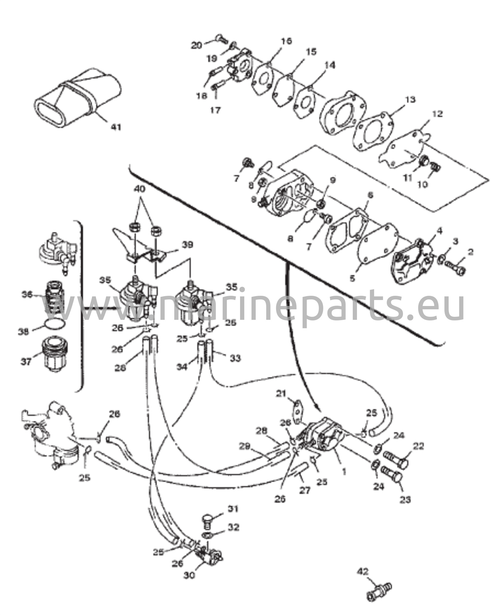 Fuel Pump / Fuel Lines 