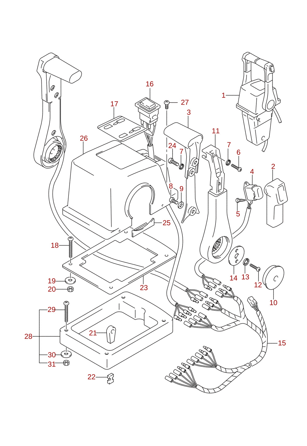 Remote control assembly dual (1) (optional)
