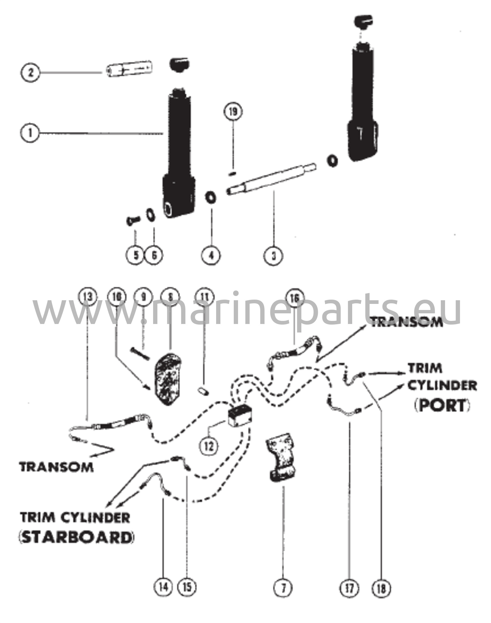 Trim Cylinder (S/N-USA-5503246/AUS-8062734 and Below) 