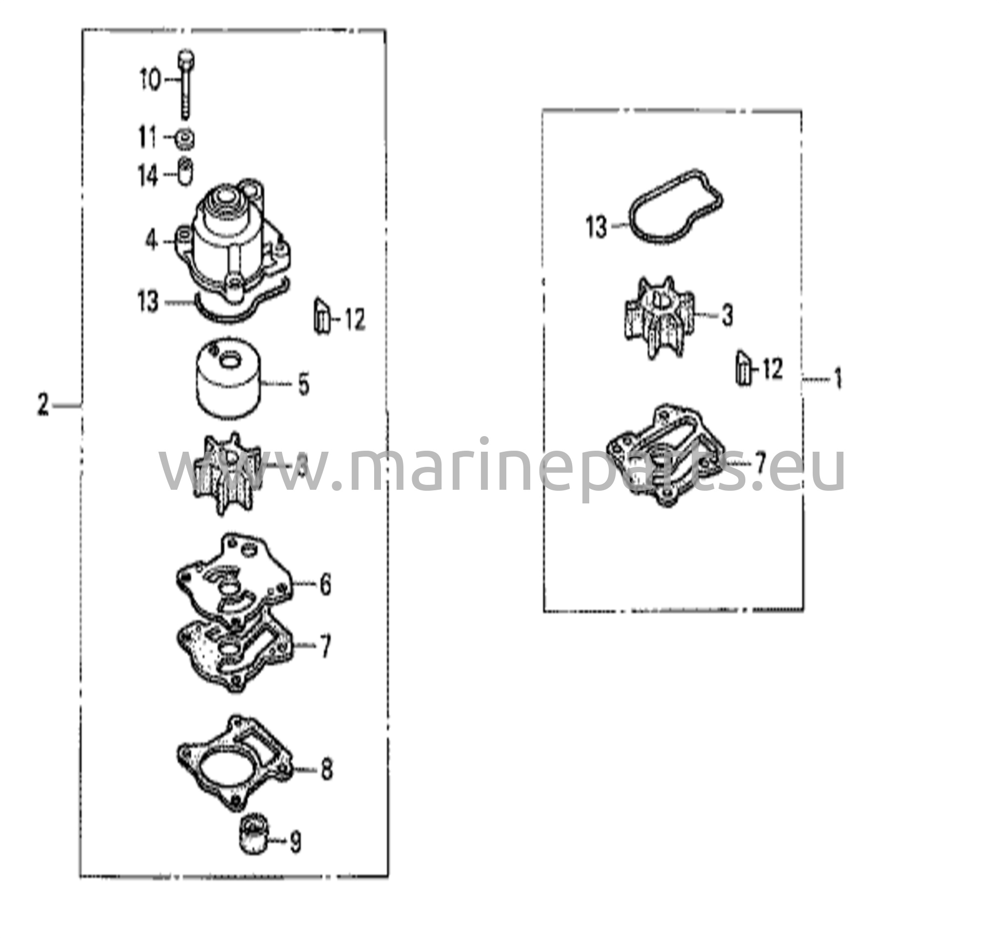 Water pump impeller kit