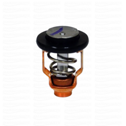 Termostaat 60°C (140°F)