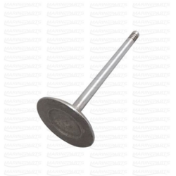 MerCruiser 3.7 L väljalaskeklapp