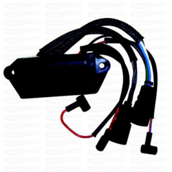 Johnson/Evinrude 65 hp CDI üksus