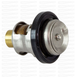 Termostaat Suzuki jaoks 50ºC