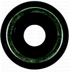 Water pump seal