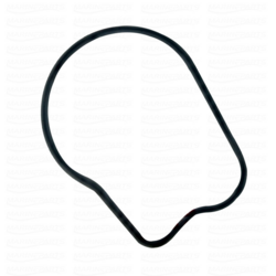 O-rõngas, veepumba ümbris