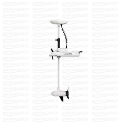 Elektrimootor Haswing Cayman B80 24V 1080W