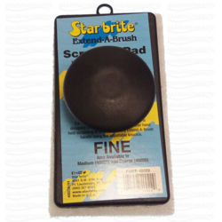 Peen küürimissvamm, valge