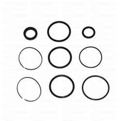 OMC Cobra trimmi silindri tihendikomplekt